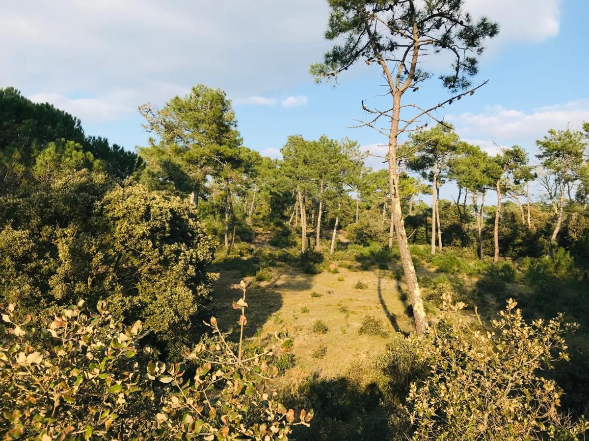 Le Ros Eden Daire Saint-Hilaire-de-Riez Dış mekan fotoğraf